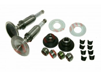 Cylinder Engine Head Valve Complete Kit for Royal Enfield 500cc Motorcycle
